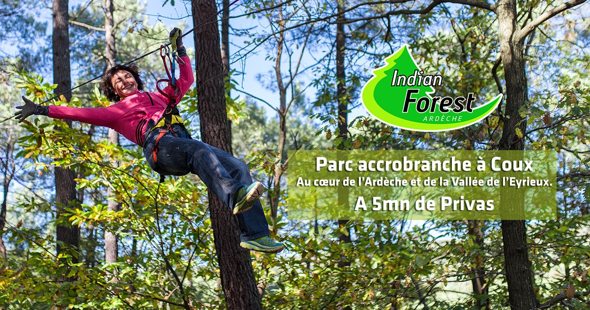 Indian Forest Accrobranche